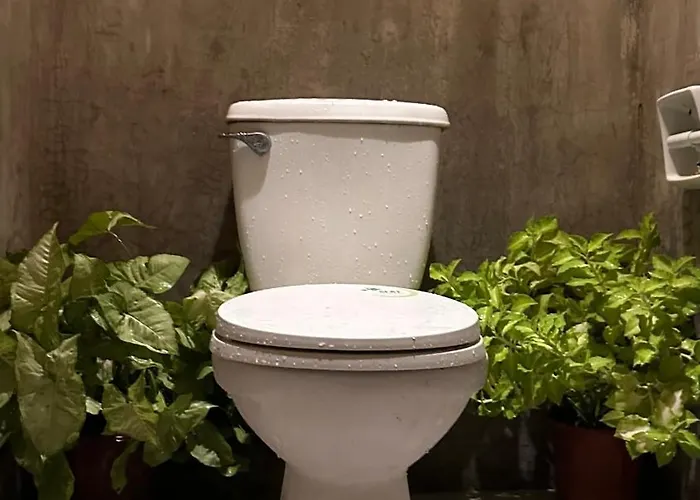 Lionfish Backpackers 호스텔 Daanbantayan