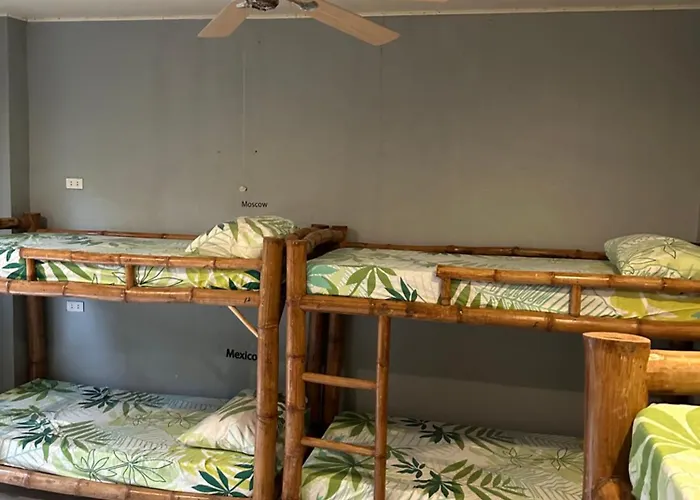 Lionfish Backpackers