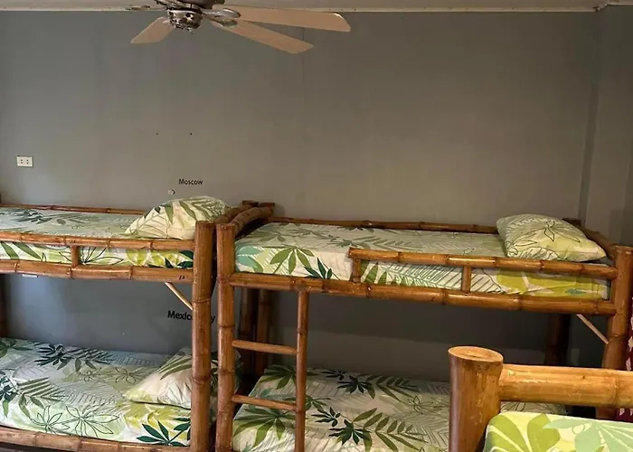 Lionfish Backpackers 호스텔 Daanbantayan