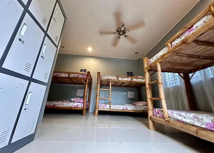 Lionfish Backpackers 호스텔