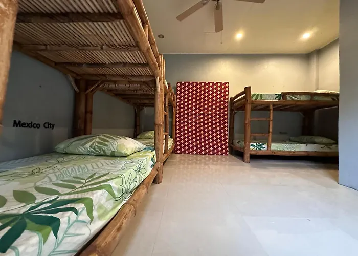 Lionfish Backpackers 호스텔 *